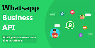 Whatsapp business API
