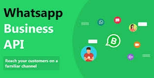 Whatsapp business API